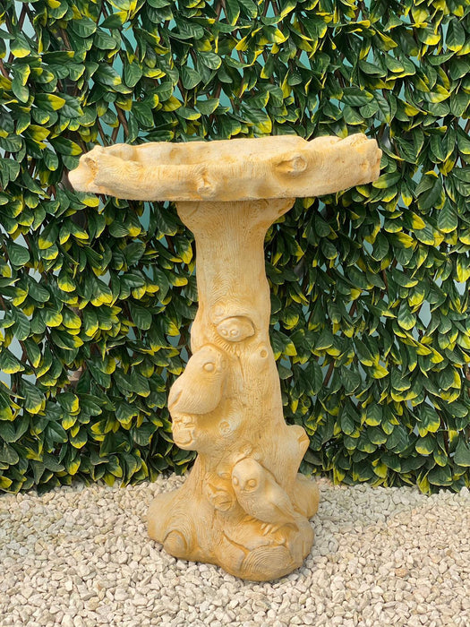 Melmar Stone Little Owl Birdbath