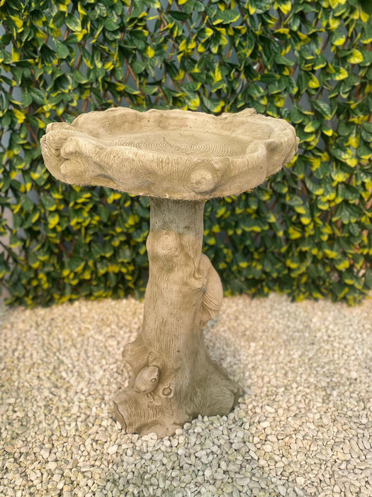 Melmar Stone Little Owl Birdbath